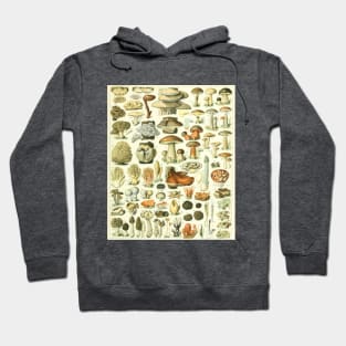 Mushroom Chart Hoodie